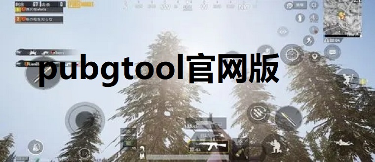 pubgtool官网版